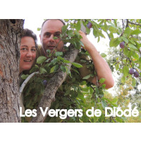 Les Vergers de Diodé