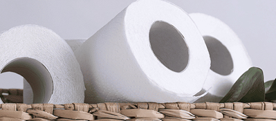 Toilettes écologiques