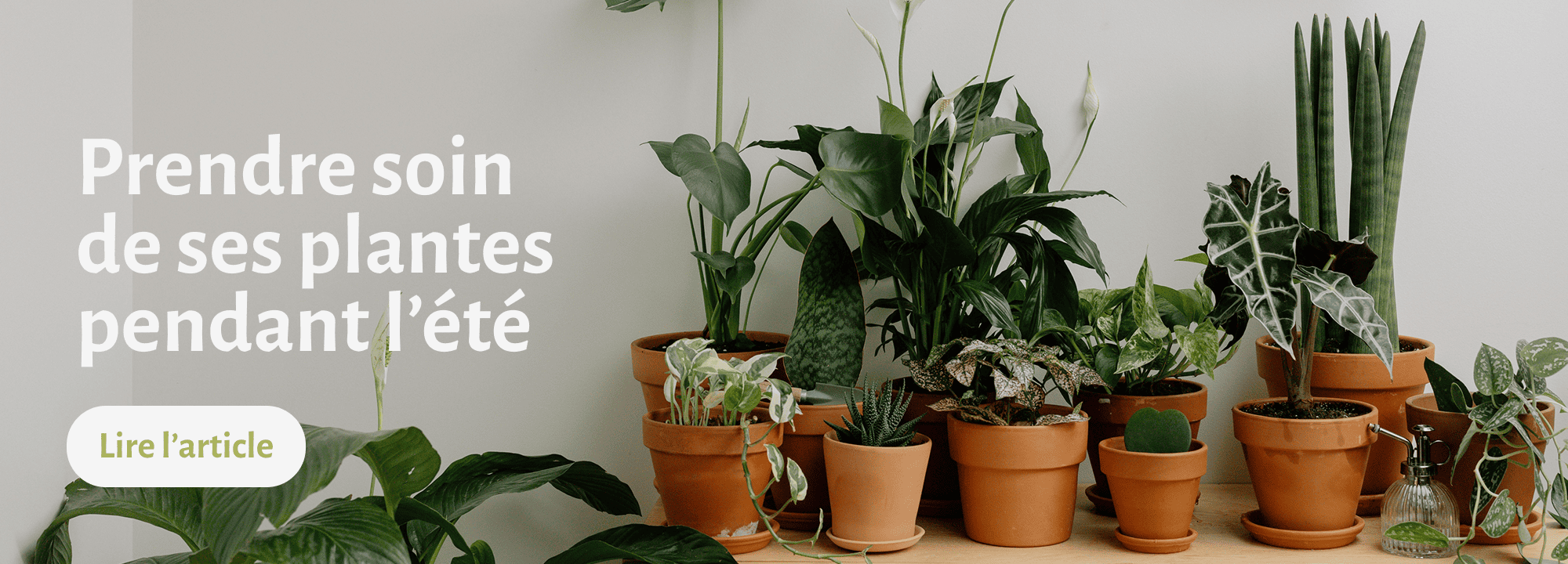 5. Juillet blog