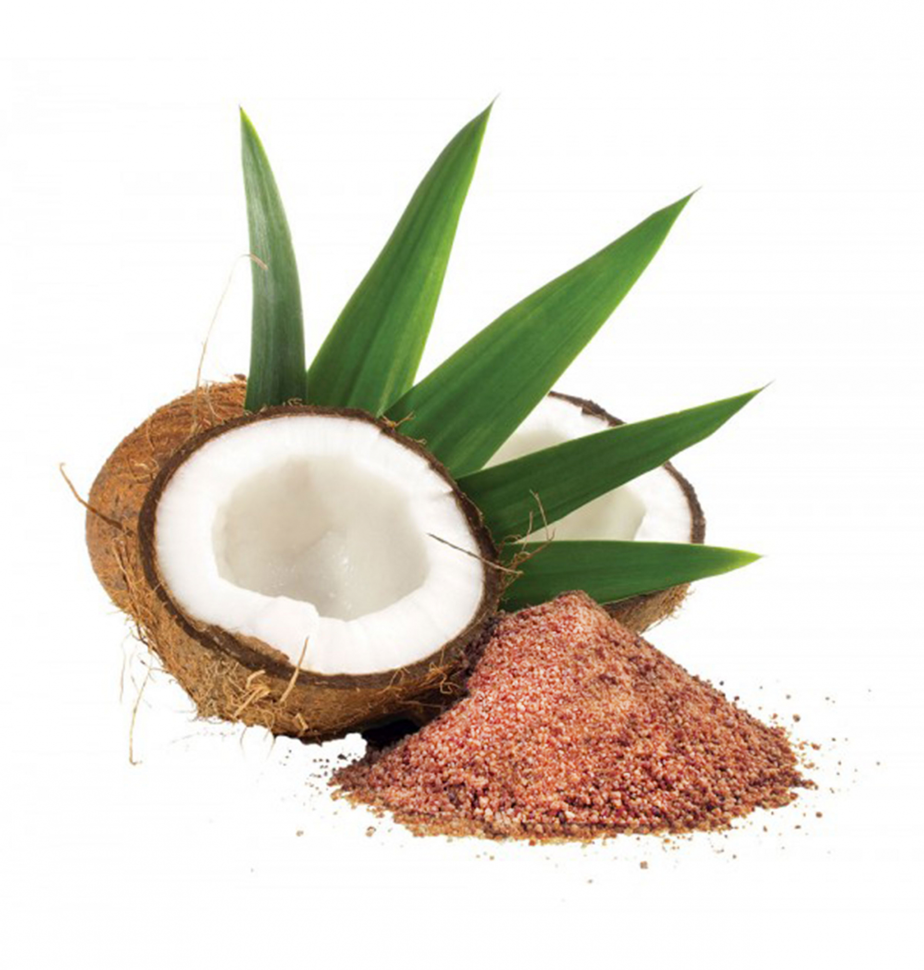 Sucre de fleur de coco blond - bio - 12,5kg