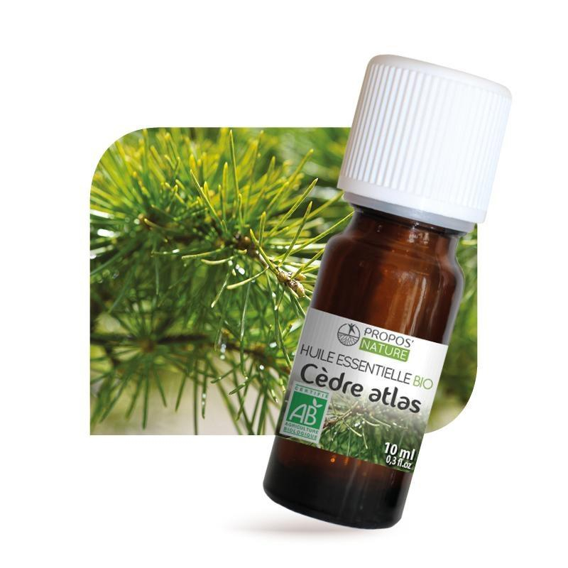 C dre De L Atlas BIO Huile Essentielle 10 Ml Sevellia