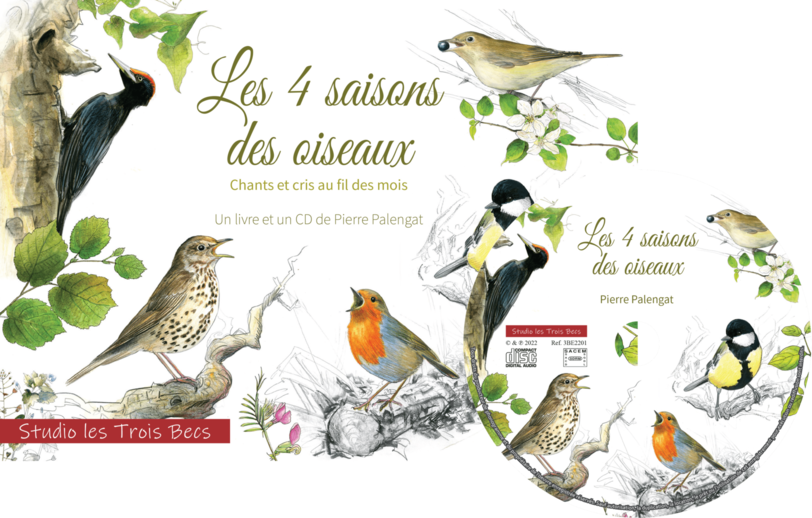 Les 4 saisons des oiseaux