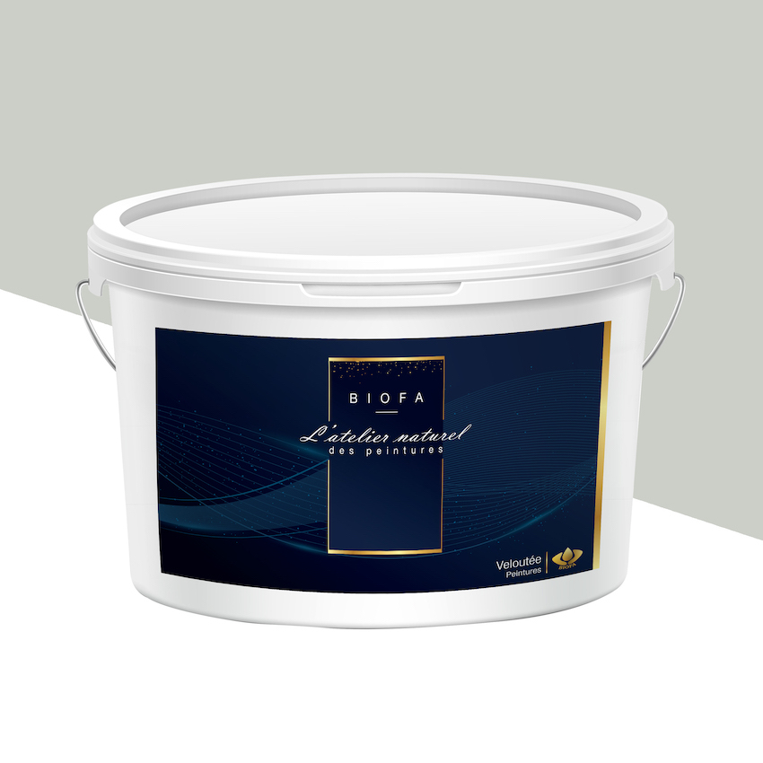 Peinture Veloutée Teintes Groupe 1 Nacre - 1 L