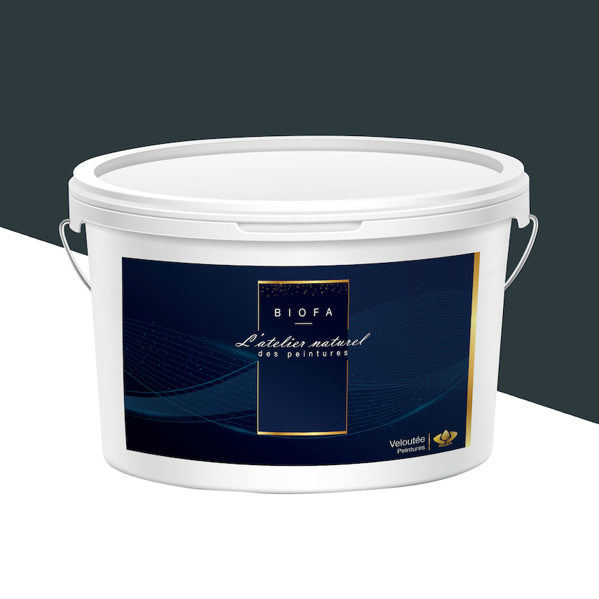Peinture Veloutée Teintes Groupe 1 Eclipse - 4 L