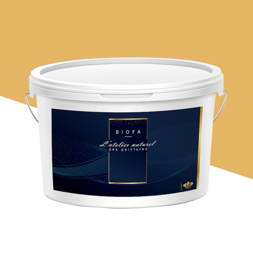 Peinture Veloutée Teintes Groupe 2 Papaye - 4 L