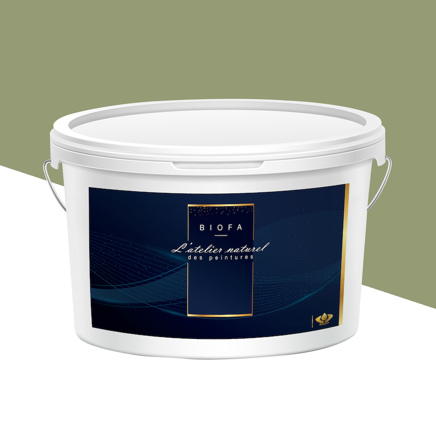 Peinture Veloutée Teintes Groupe 2 Cactus - 4 L
