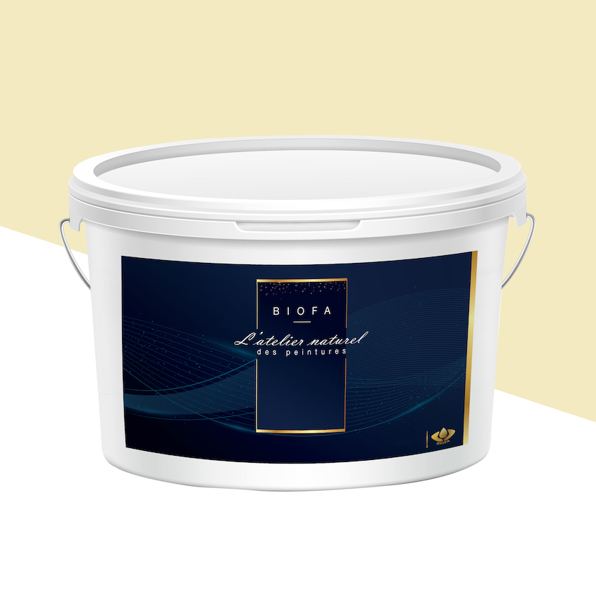 Peinture Silicates Teintes Pastel Coquille - 12,5 L