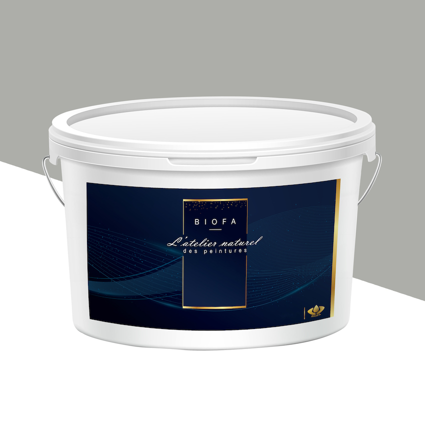Peinture Silicates Teintes Pastel Minéral - 12,5 L