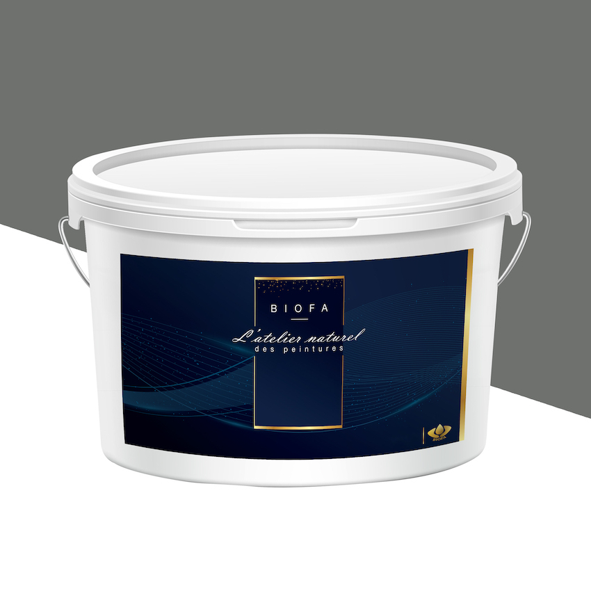 Peinture Silicates Teintes Pastel Pavé - 12,5 L
