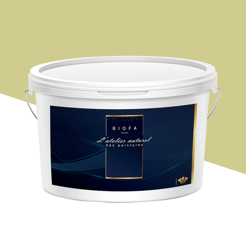 Peinture Silicates Teintes Pastel Amande - 12,5 L