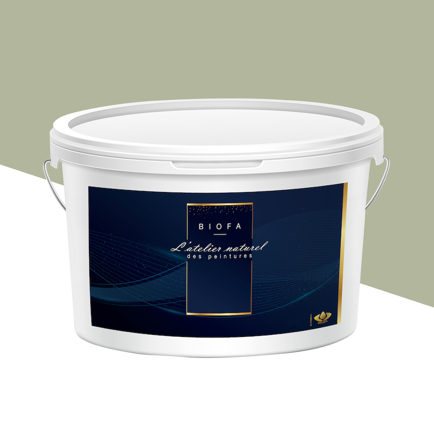 Peinture Silicates Teintes Pastel Argile - 12,5 L