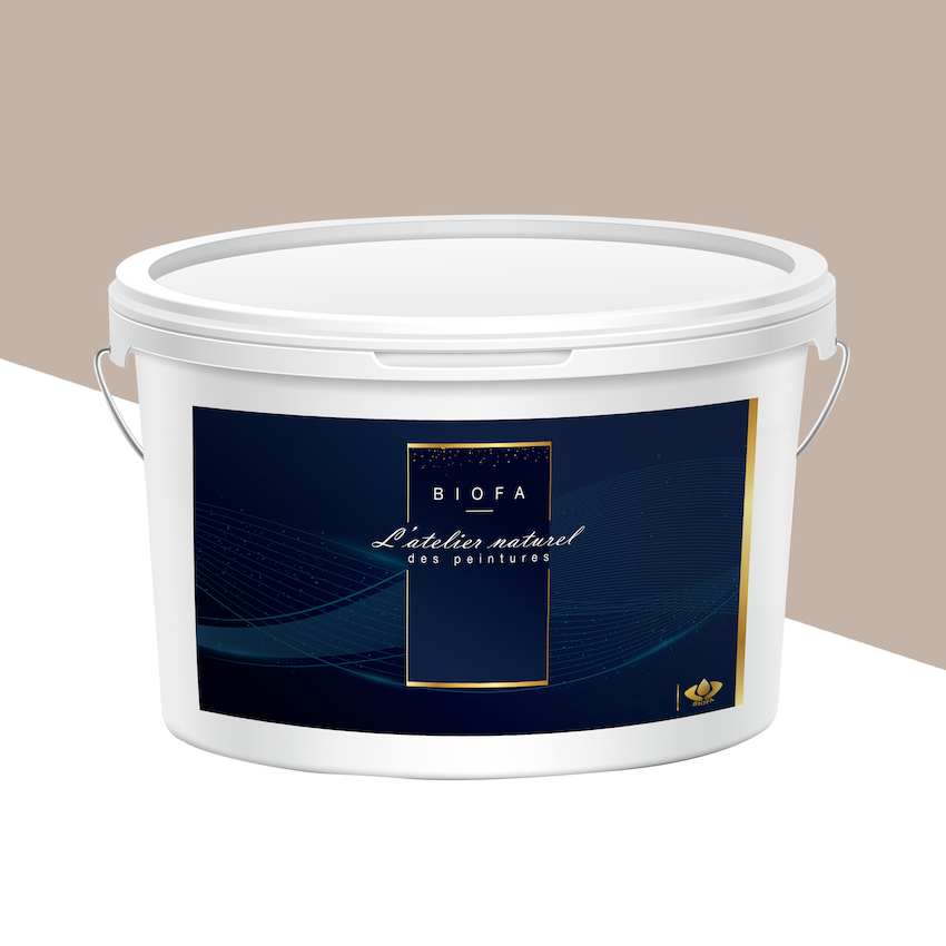 Peinture Silicates Teintes Pastel Champagne Rosé - 5 L