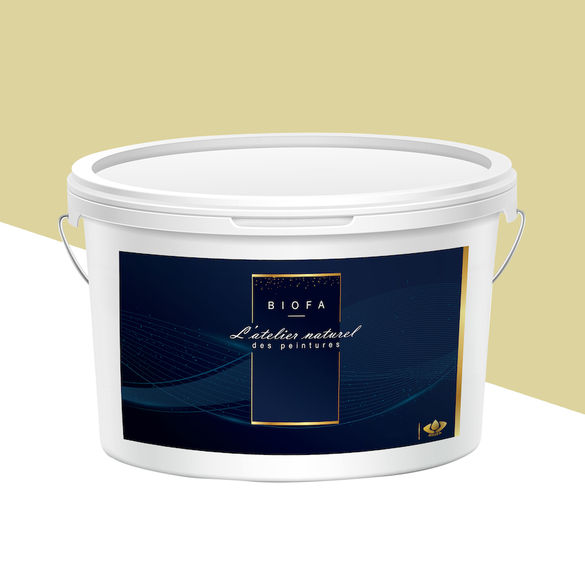 Peinture Silicates Teintes Pastel Vanille - 5 L