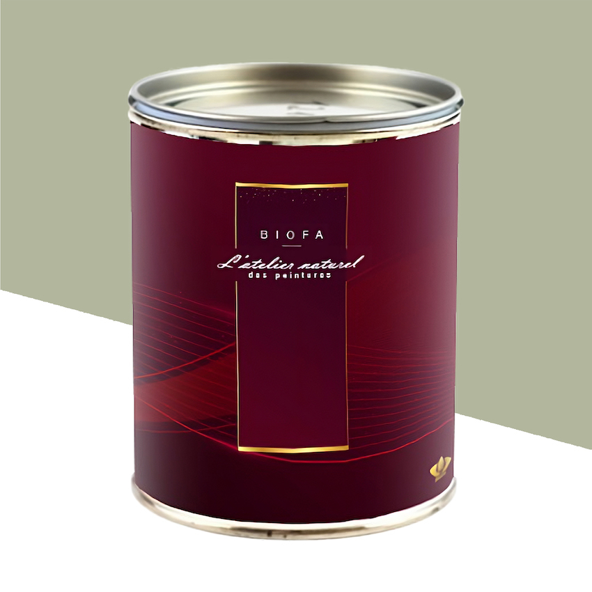 Laque Satinée Teintes Groupe 1 Argile - 1 L
