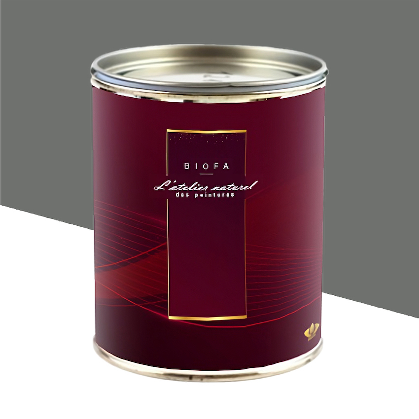 Laque Satinée Teintes Groupe 1 Pavé - 2,5 L