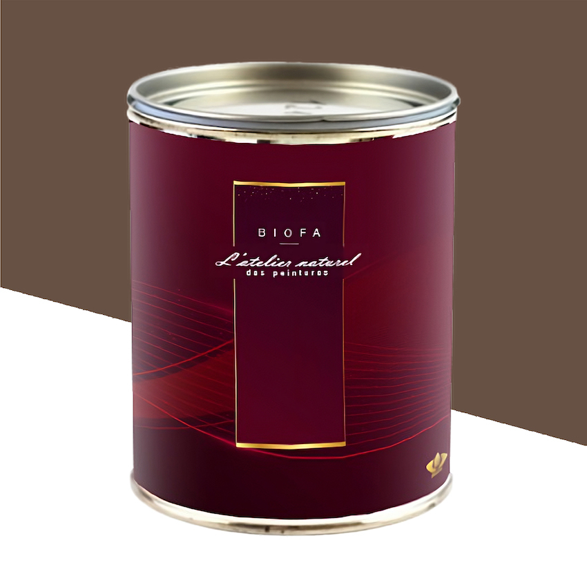 Laque Satinée Teintes Groupe 1 Terre - 1 L