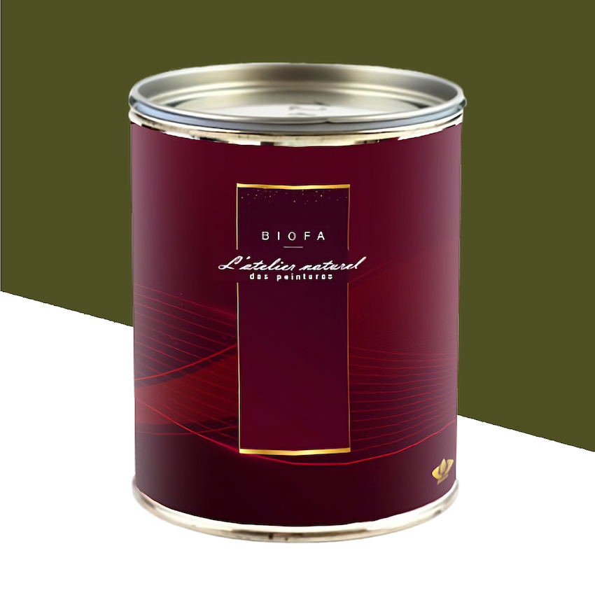 Laque Satinée Teintes Groupe 1 Olive - 2,5 L