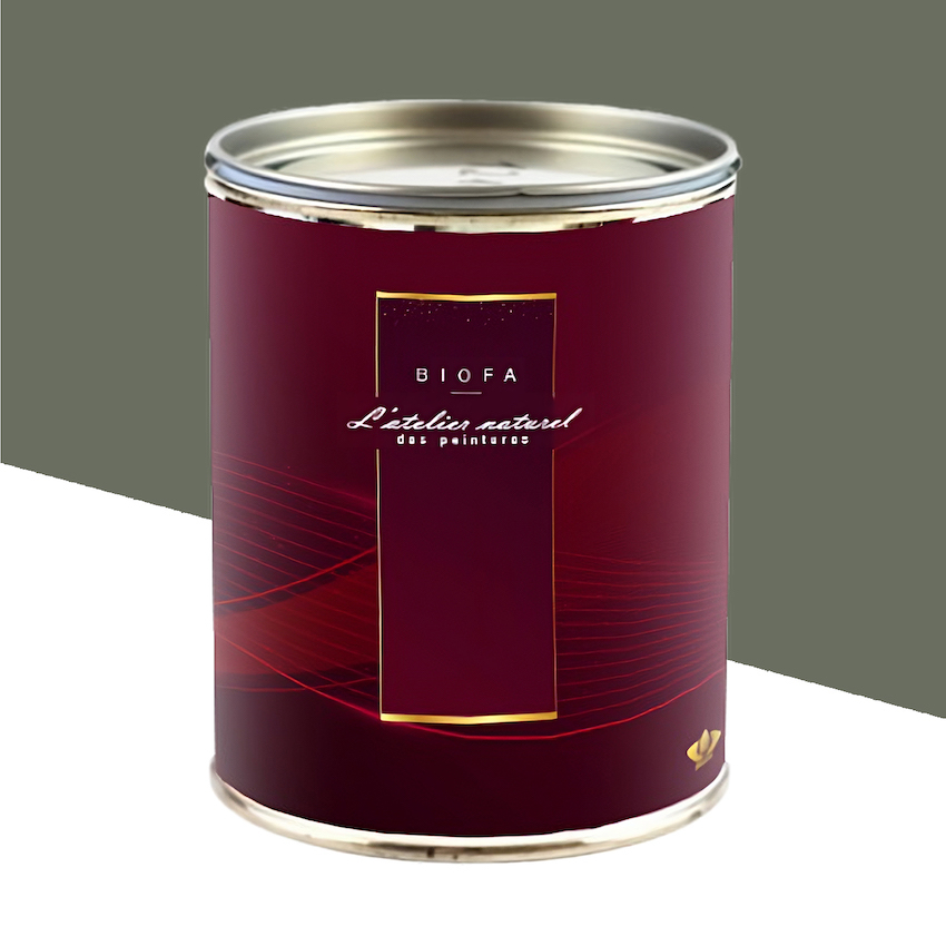 Laque Brillante Teintes Groupe 1 Zinc - 1 L