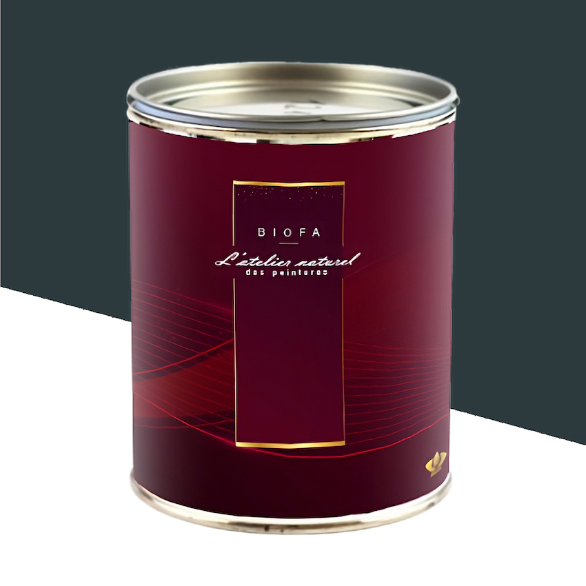 Laque Brillante Teintes Groupe 1 Eclipse - 1 L