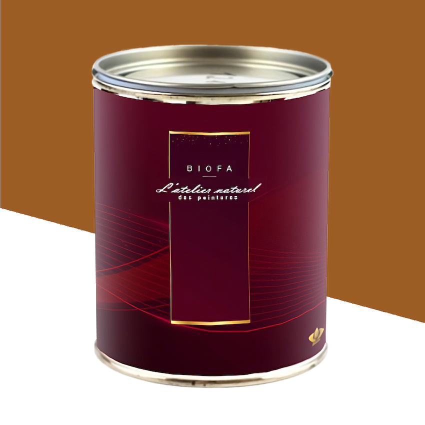 Laque Brillante Teintes Groupe 1 Sienne - 2,5 L