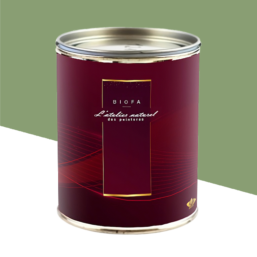 Laque Brillante Teintes Groupe 1 Végétal - 2,5 L