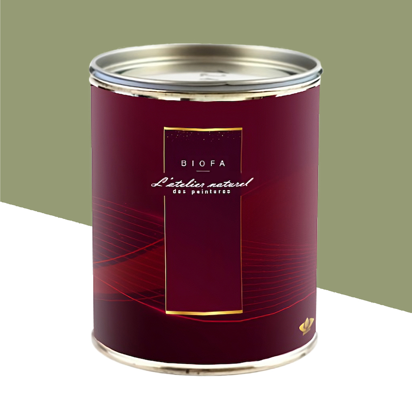 Laque Brillante Teintes Groupe 2 Cactus - 2,5 L