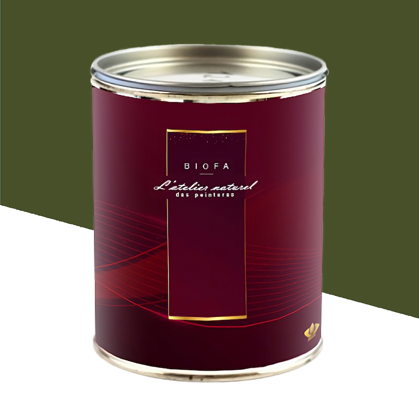 Laque Brillante Teintes Groupe 2 Forêt - 2,5 L