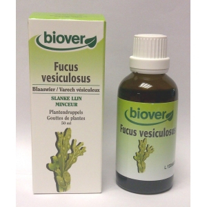 Gouttes de Plantes Teintures Fucus Vesiculosus