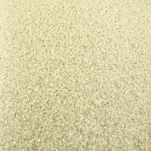 Riz Rond Blanc Bio en Vrac 5kg