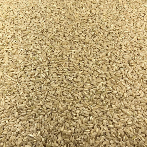 Riz Rond Complet Bio en Vrac 5kg