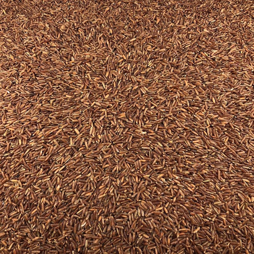 Riz Rouge Bio en Vrac 5kg