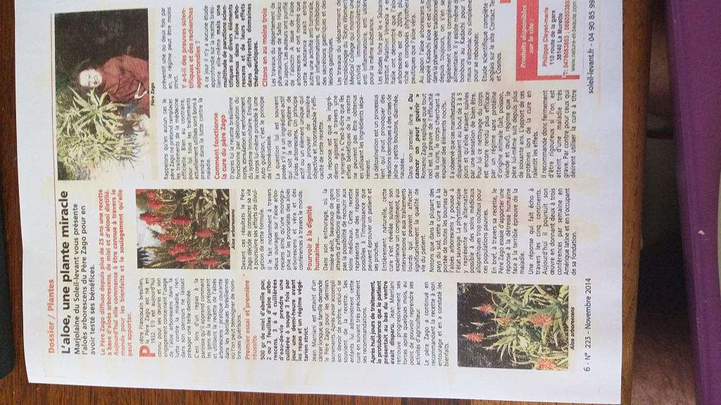 Aloes Arborescens (500 ml) recette père Zago +1% alcool | Sevellia