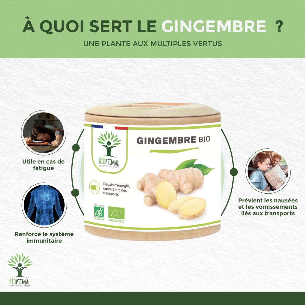 Gingembre Bio Complément alimentaire Mal des transports Digestion — free download