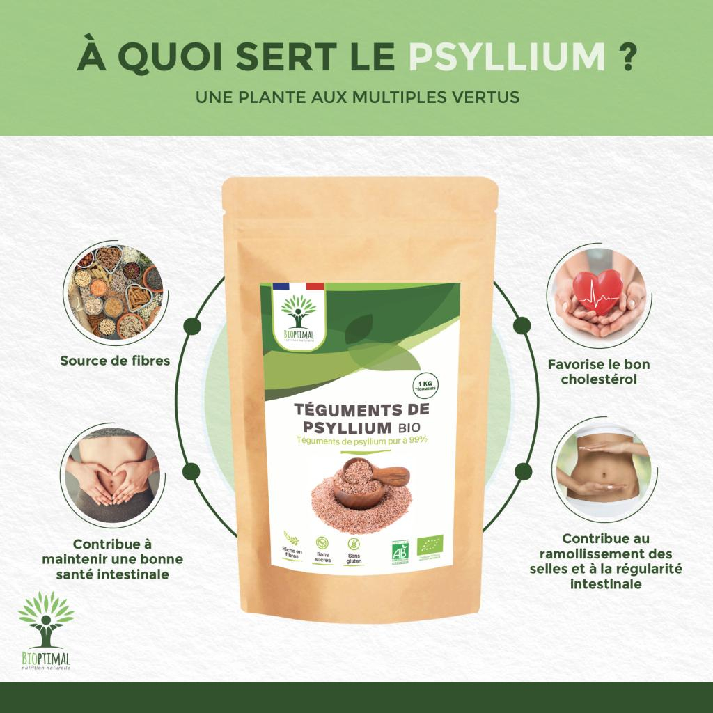 Psyllium Blond Bio Téguments de Psyllium Digestion Transit