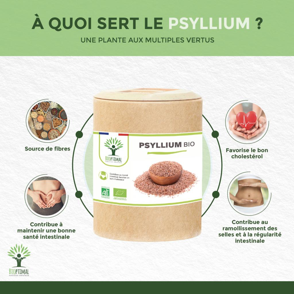 Psyllium Bio Complément alimentaire Digestion Transit Cholestérol — free download