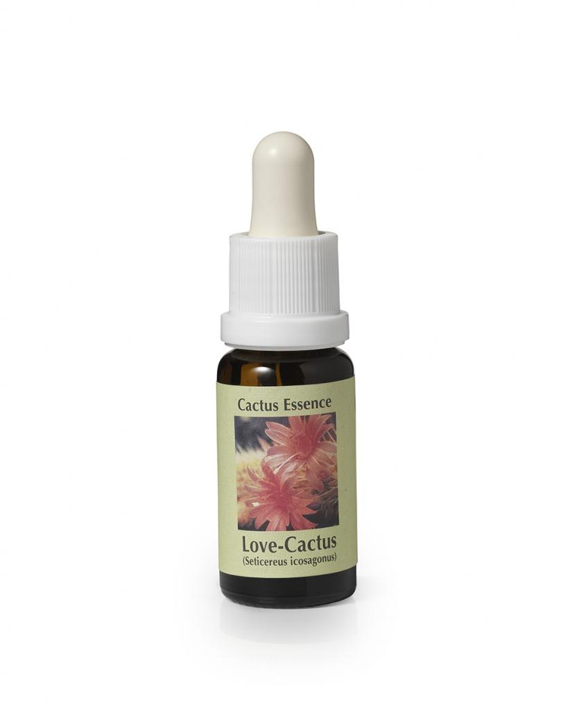 Love Cactus (élixir 15ml)