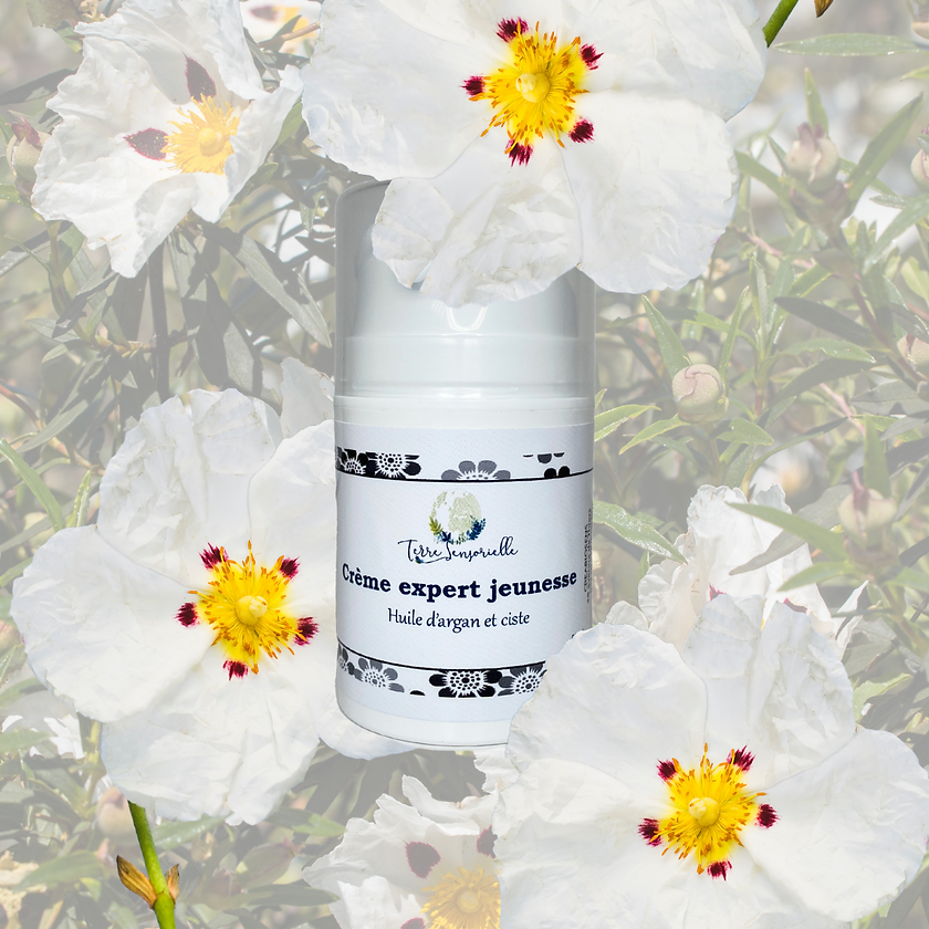 Crème expert jeunesse