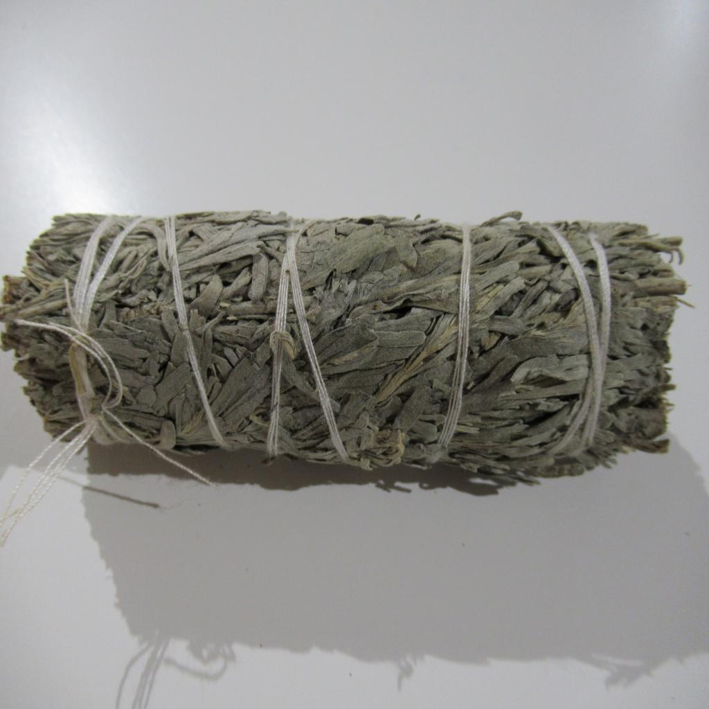 Sauge bleue de Californie 25g