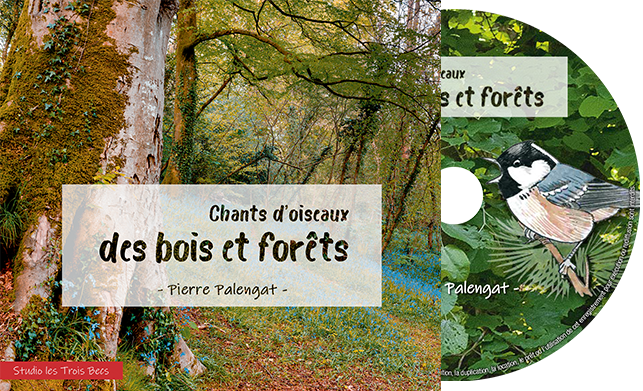Chants d'oiseaux des bois et forêts