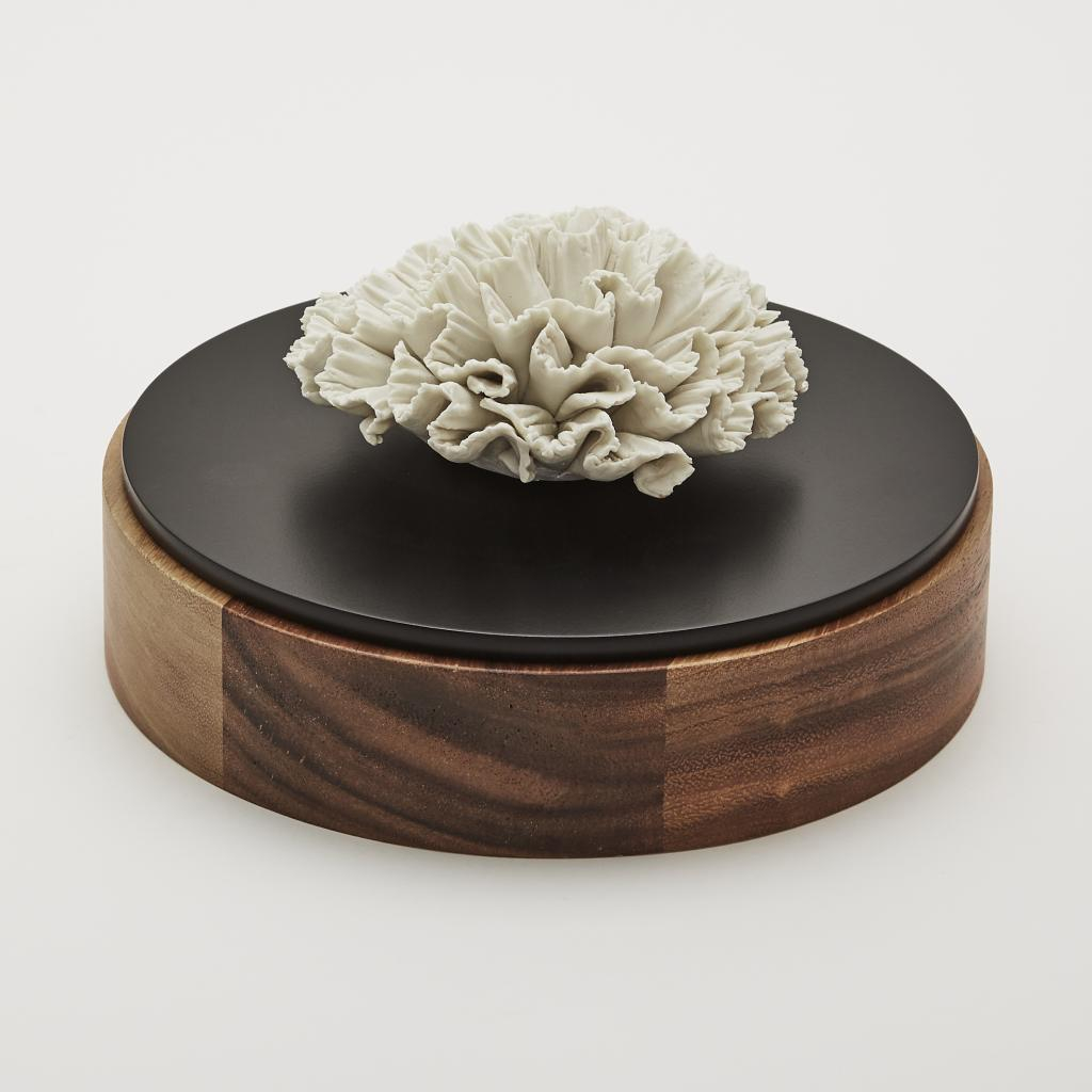 Boîte en bois et céramique / CHAN XL