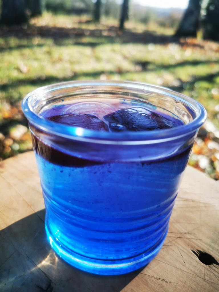La Phycocyanine de Julie (extrait de spiruline bleu) 100 ml