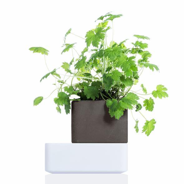 Vase en Anthracite 