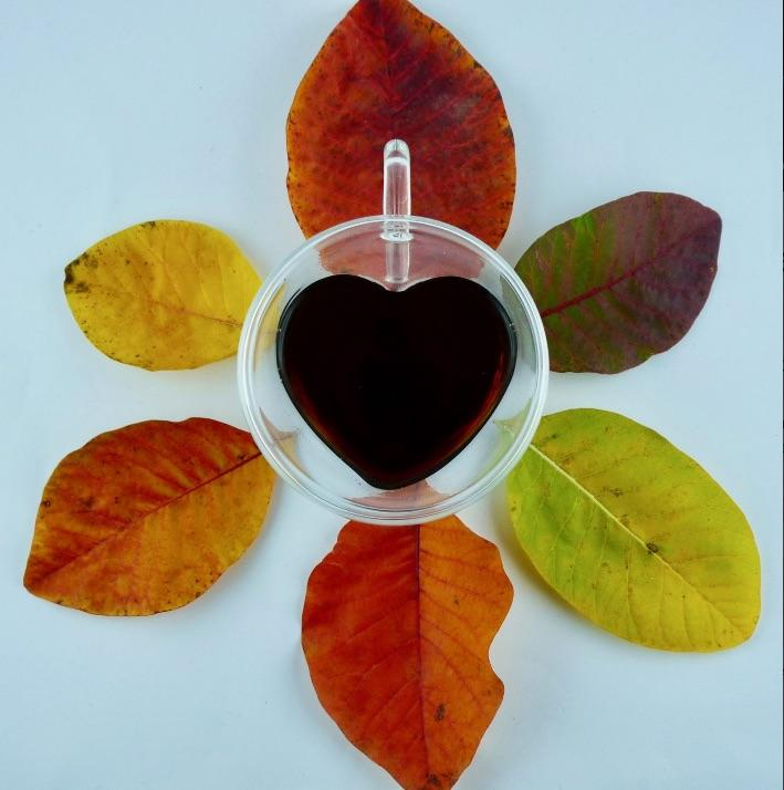 Love on the beat - Blend Pu erh et thé noir agrumes