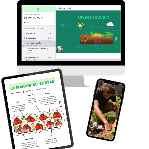 Cours potager permaculture