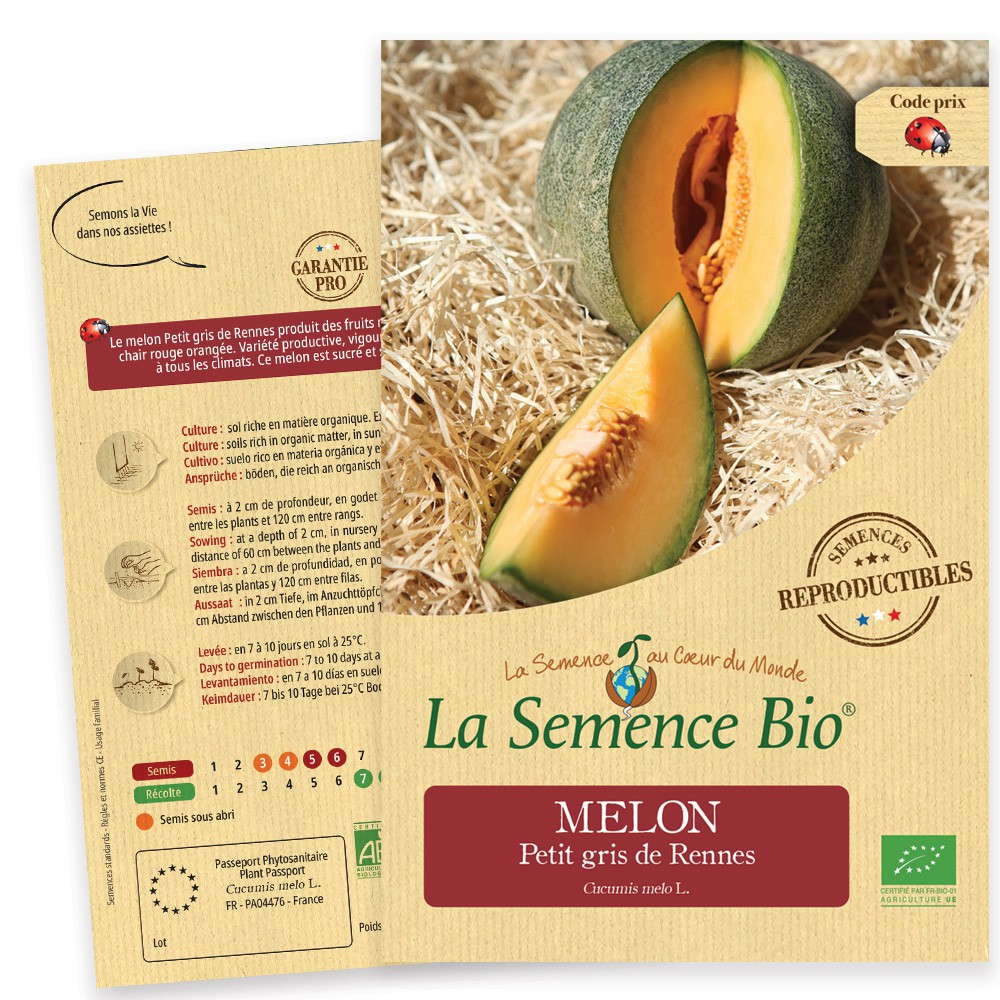 Melon Petit Gris De Rennes Bio Sevellia