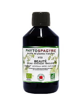 Phytospagyrie n°21 Beauté (Peau, Cheveux, Ongles)-300ml-Vecteur energy