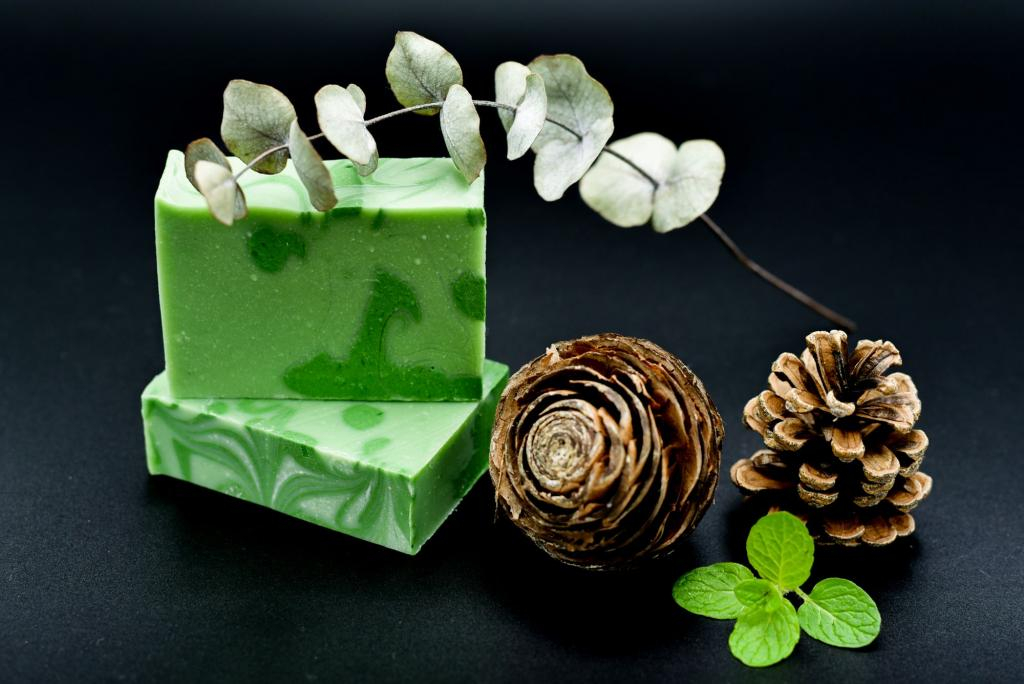 Savon vivifiant et hydratant - Eucalyptus & Menthe poivrée - NATURE SAUVAGE - 105g ZD