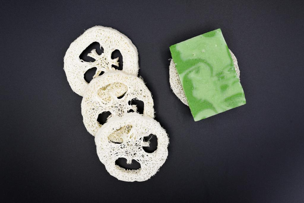 Porte-savon Luffa - 5 Unités