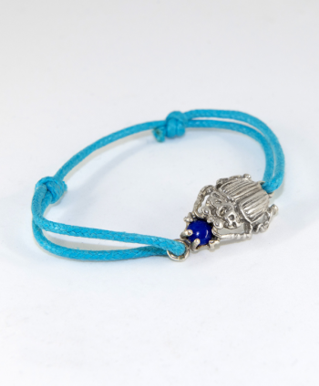 Scarabée lapis lazuli - France