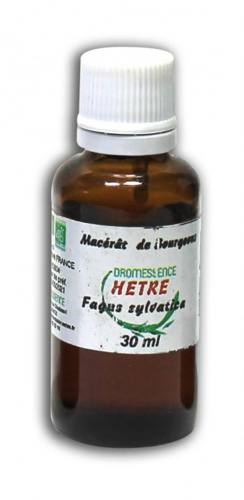 HerbalGem Fru00eane Bio Concentru00e9 De Bourgeons Frais - Draineur - Gemmothu00e9rapie